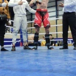 باشگاه کیک بوکسینگ ، رزمی و بوکس حسنلو