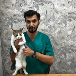 کلینیک دامپزشکی کارمن