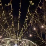 خانه عقد ستاره طلایی