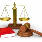 نمونه کار زینب ملکی - وکیل پایه یک دادگستری