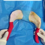 کلینیک دامپزشکی دنا