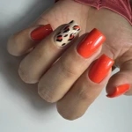 سالن زیبایی ویدا محمدی فرد