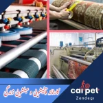لوگوی قالیشویی زندگی
