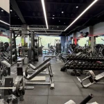  باشگاه بدنسازی آشوری ( vip ژیوان )