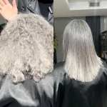نمونه کار مرکز تخصصی کراتین نیلوکس