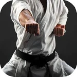 تصویر باشگاه  کیک بوکسینگ و کاراته ایلیا