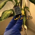کلینیک لیزر و زیبایی مهرُنا