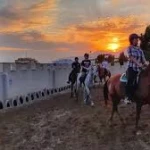  باشگاه سوارکاری زجاجی