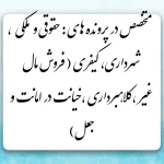 تصویر وکیل پایه یک دادگستری مهدی احمدی