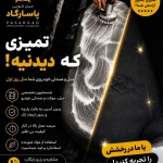 مبلشویی پاسارگاد