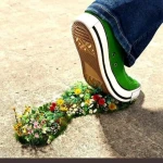 تصویر وکیل پایه یک دادگستری افسانه محسنی