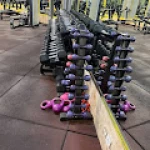  باشگاه اشکان مقدم