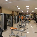 باشگاه ورزشی پایا