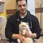 لوگوی کلینیک دامپزشکی و پت شاپ سیرنگ