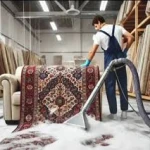 لوگوی شرکت شستشوی تخصصی مبلمان و فرش  بصیری