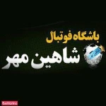 نمونه کار باشگاه فوتبال شاهین مهر