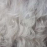 تصویر آموزشگاه و سالن زیبایی سیب سبز