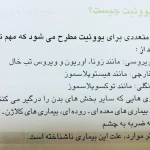 تصویر نوشین دادبین