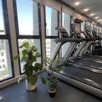  باشگاه بدنسازی یوتا utah