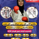 باشگاه رزمی پیام