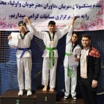 آکادمی تکواندو