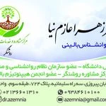لوگوی مرکز مشاوره روشنگر