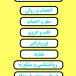 نمونه کار دکتر حمیدرضا حکمت
