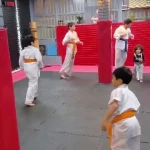 آموزش کاراته کیو کوشین (آکادمی مبارز)