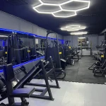 باشگاه بدنسازی بانوان لئو (پونک)