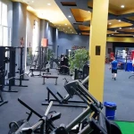 باشگاه بوکس و بدنسازی پژوهش