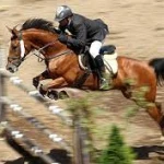  مربی ورزش اسب سواری رشته پرش همه سنین