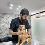 نمونه کار کلینیک دامپزشکی جزیره حیوانات