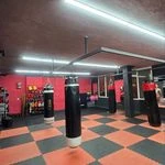 لوگوی آکادمی ورزشی خواهران میرعلیزاده