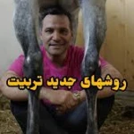  آموزش سوارکاری (محمد رفیعی)