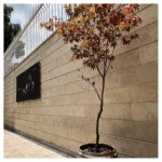 نمونه کار آموزشگاه موسیقی دارکوب