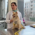 تصویر کلینیک دامپزشکی و پت شاپ آریستو