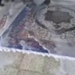 تصویر قالیشویی مجاز ضامن