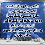  آکادمی مبارز (شعبه سید خندان)