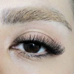 لوگوی مژه بهارک باقیمتی ارزان و کیفیتی مطلوب