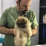 لوگوی کلینیک دامپزشکی و پت شاپ پیچا