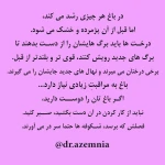 مرکز مشاوره روشنگر