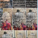 تصویر خدمات تخصصی رنگ و لایت و کراتین و  فشیال بیگی