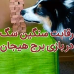 پت شاپ ژیوان