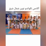  آکادمی تکواندو