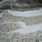 قالیشویی گل نگار (شعبه تهران)