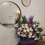 روانشناس و مشاور شبنم داوری