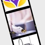 لوگوی کلینیک لاغری و زیبایی پایتخت