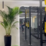 باشگاه تنوما