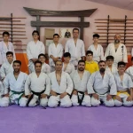 باشگاه هنر رزمی استاد هنرور