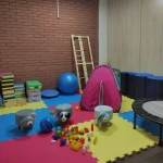 کلینیک روانشناسی مسیر سبز